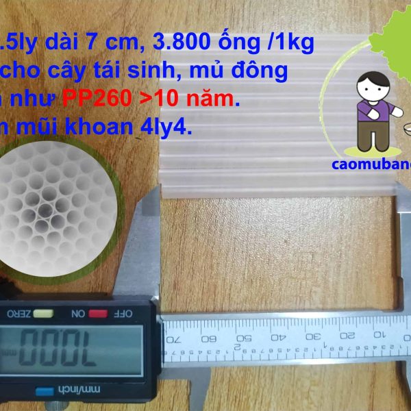 Ống khoan lấy mủ cao su Ống 4.5ly dài 7 cm 1kg ≈ 3.800 ống