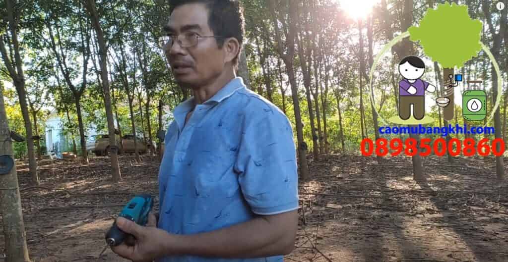 Lão nông tri điền chia sẻ kinh nghiệm áp khí khoan lấy mủ trên vườn Lai Hoa 6 năm và cách xử lý đất